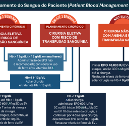 Figura 1 - Esquema simplificado do Protocolo de Tratamento Farmacológico de Anemia e Diretrizes para Terapia com Eritropoetina. EPO= eritropoetina; Hb= hemoglobina; EV= endovenoso; SC= subcutâneo.